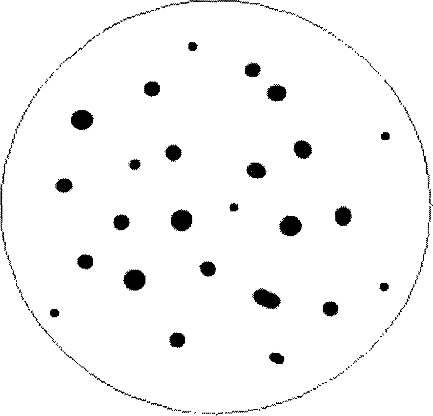 Process for fast separating, screening microsatellite mark of sea shell kind