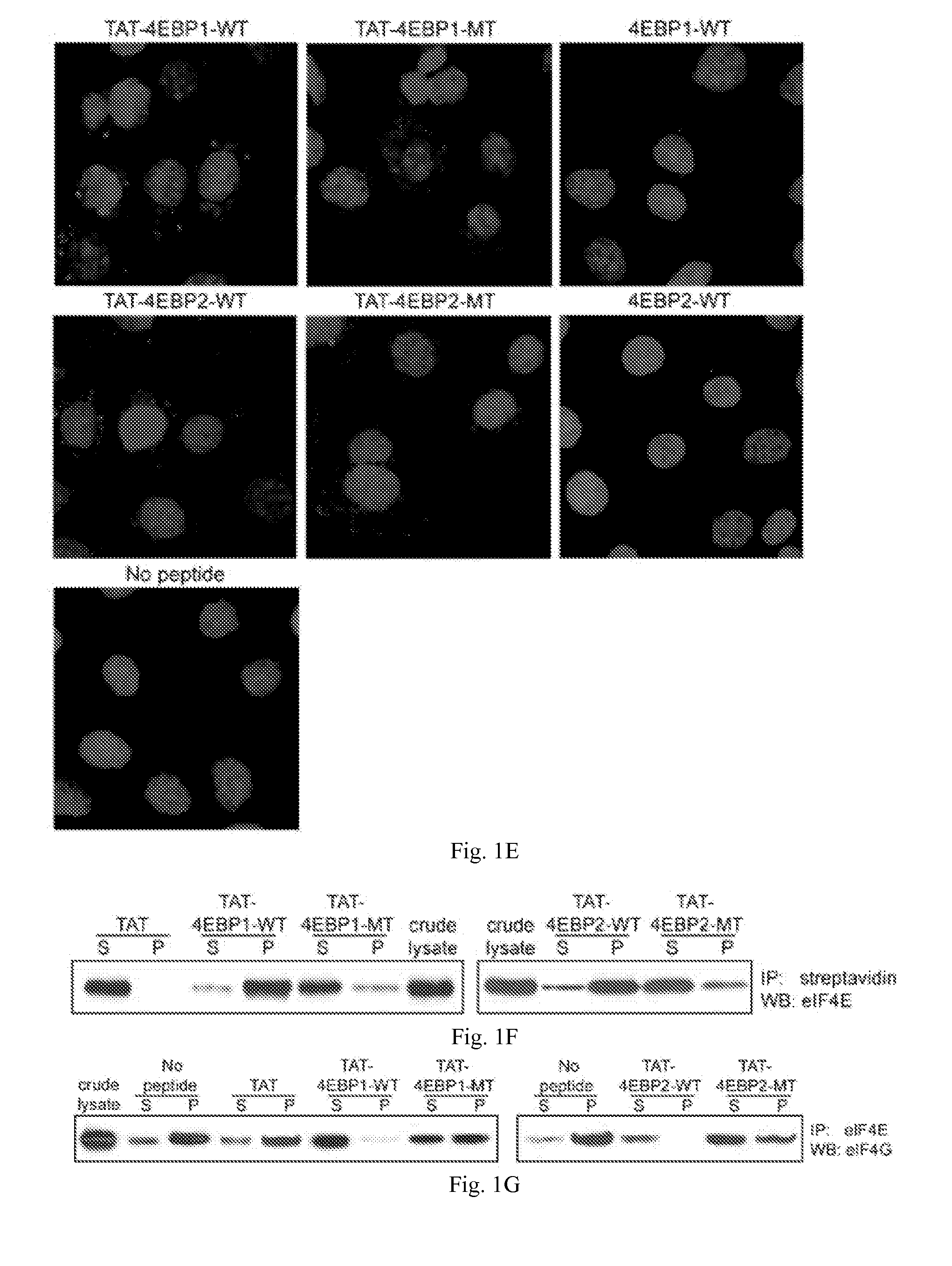 Peptides that bind eukaryotic translation initiation factor 4e