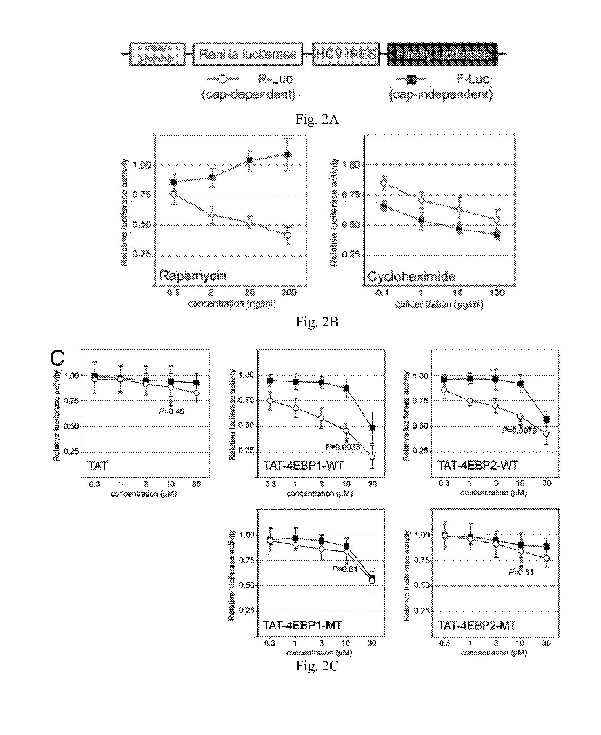 Peptides that bind eukaryotic translation initiation factor 4e