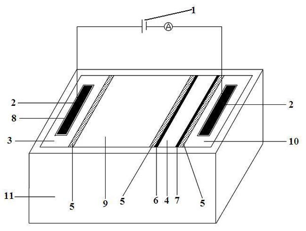 Device and method used for restoring sludge polluted by heavy metals