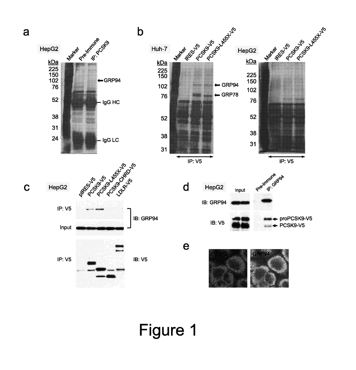 PCSK9 inhibitory polypolypeptides and methods of use