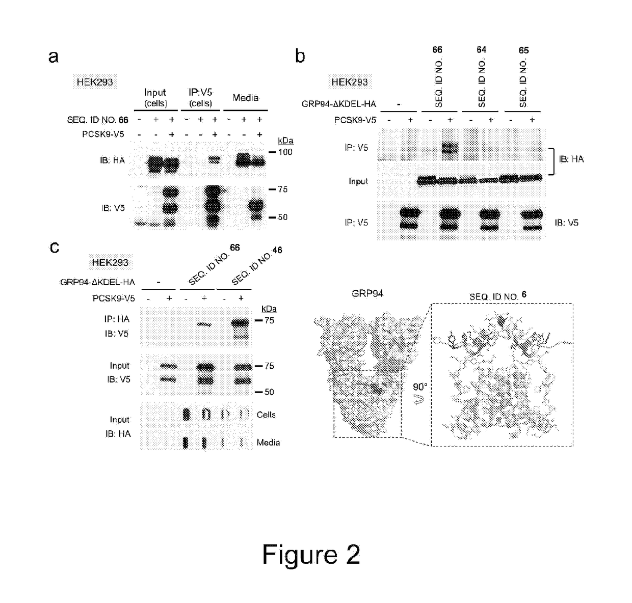 PCSK9 inhibitory polypolypeptides and methods of use