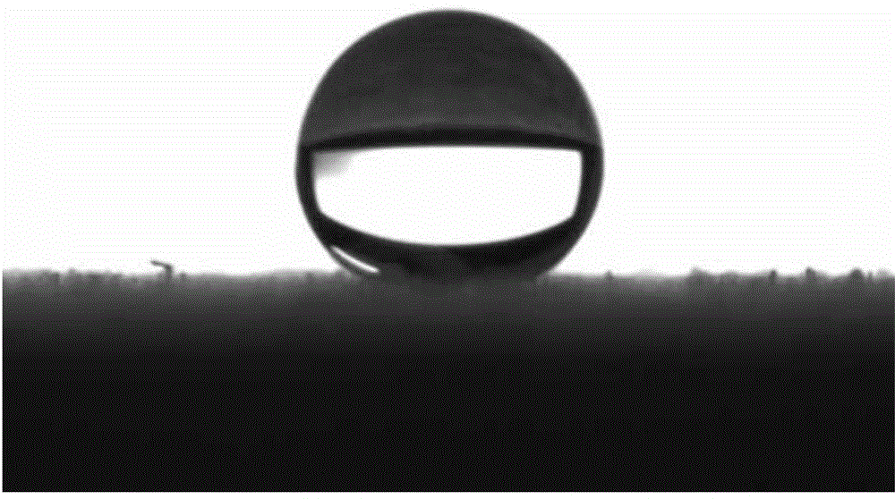 Preparation method of super-hydrophobic-hydrophilic wood with intelligent temperature response