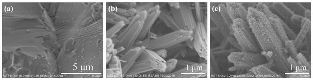 A kind of processing method of high concentration p-nitrophenol