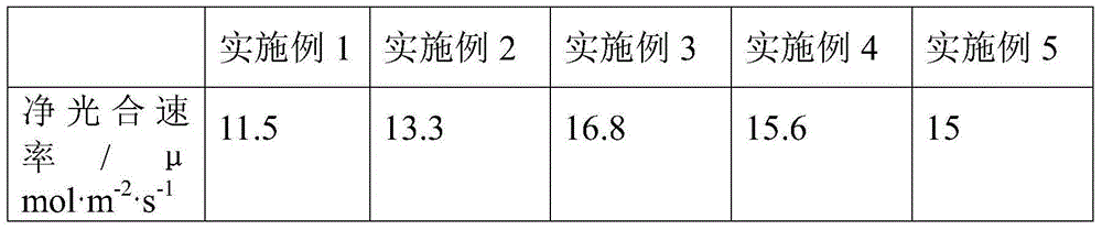 Composition for relieving damage of pesticide to melons and fruits and preparation method thereof