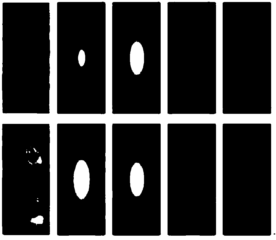 Multi-scale target tracking method based on background suppression and foreground anti-jamming