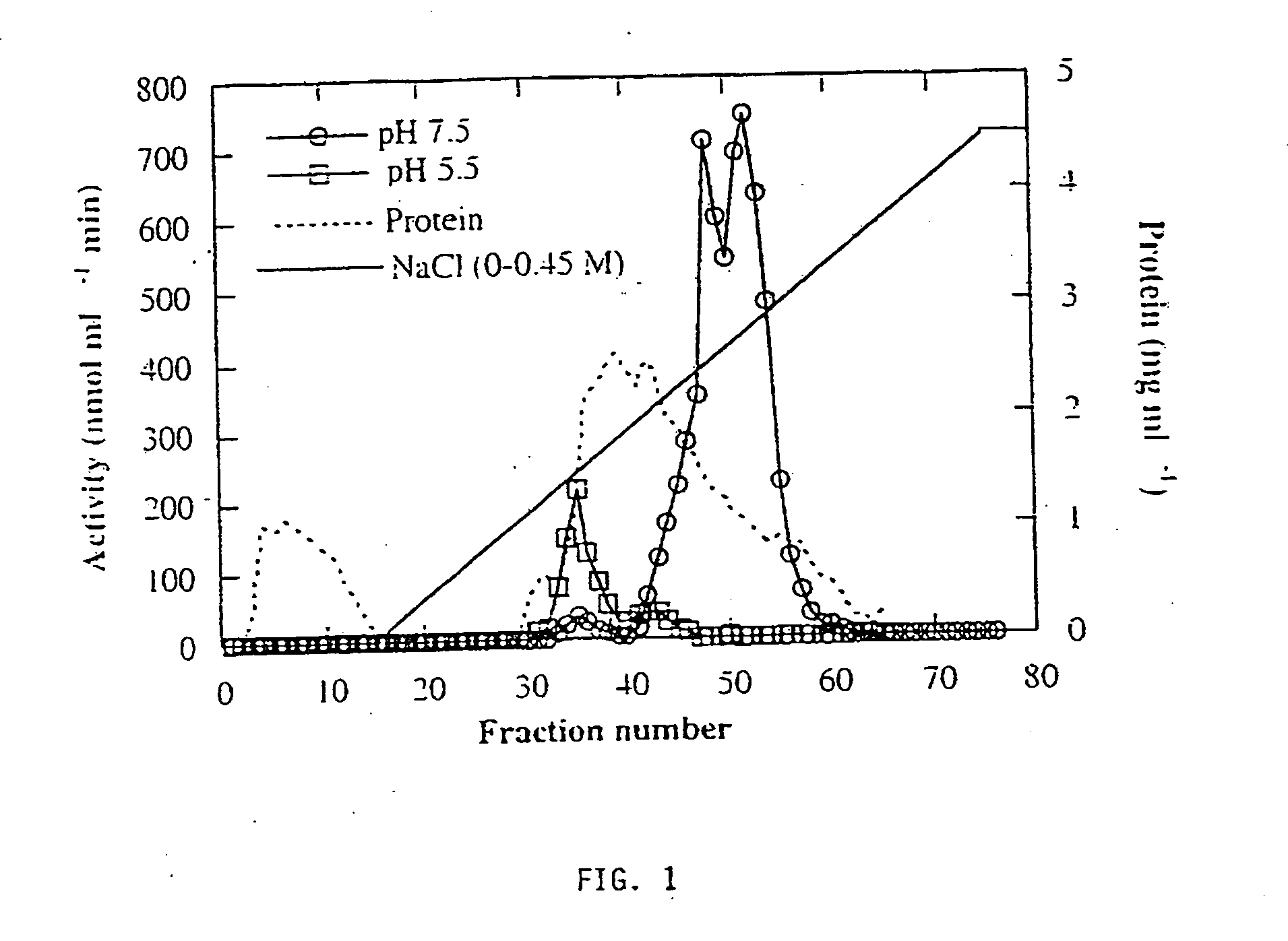 Plant-derived alkaline alpha-galactosidase