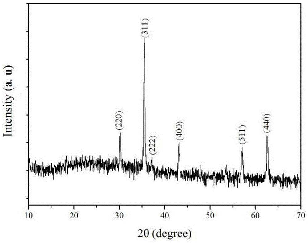 A kind of velvet flower-like Fe3O4 with micro-nano structure and preparation method thereof