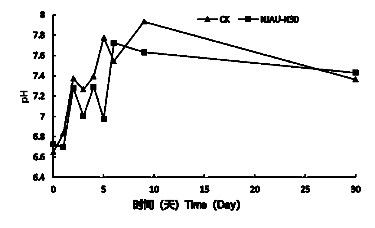 Bacillus high temperature bacteria NJAU-N30 for accelerating composting and decomposition and application thereof