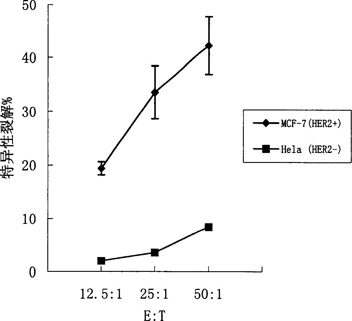 Dendritic cell tumor vaccine and its preparation and use