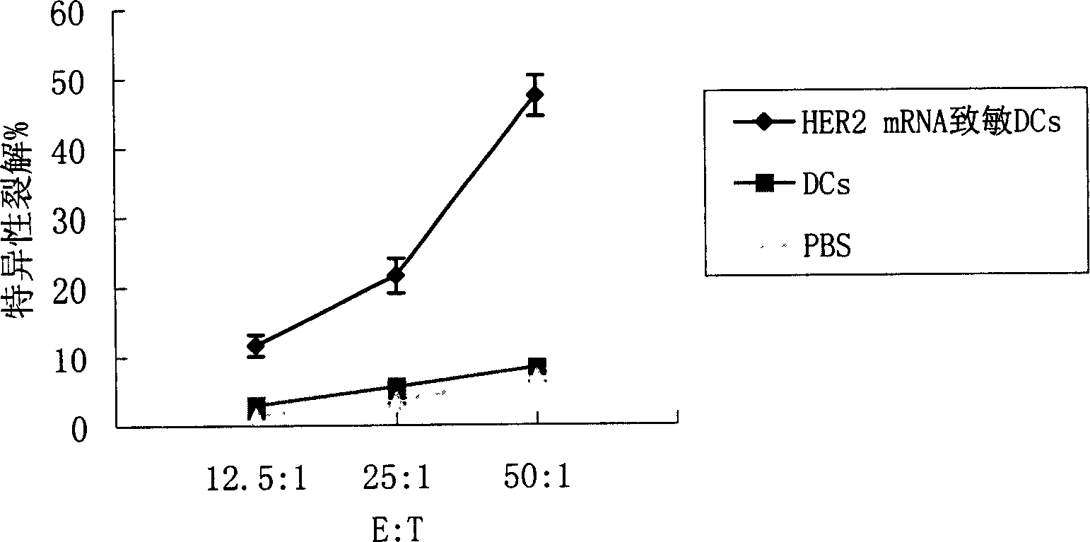 Dendritic cell tumor vaccine and its preparation and use