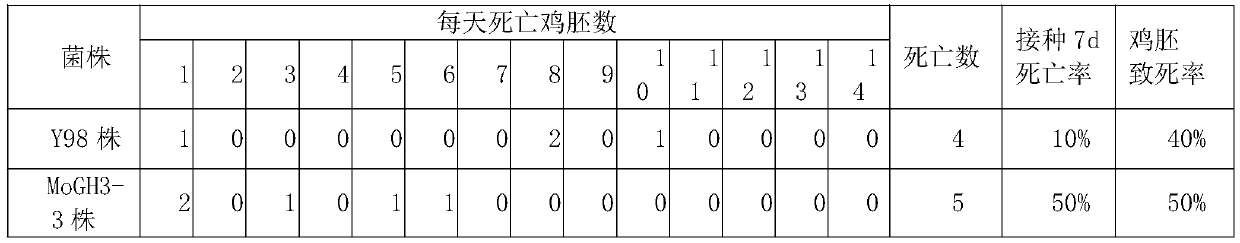 Method for comparative analysis of sheep mycoplasma ovipneumoniae virulence