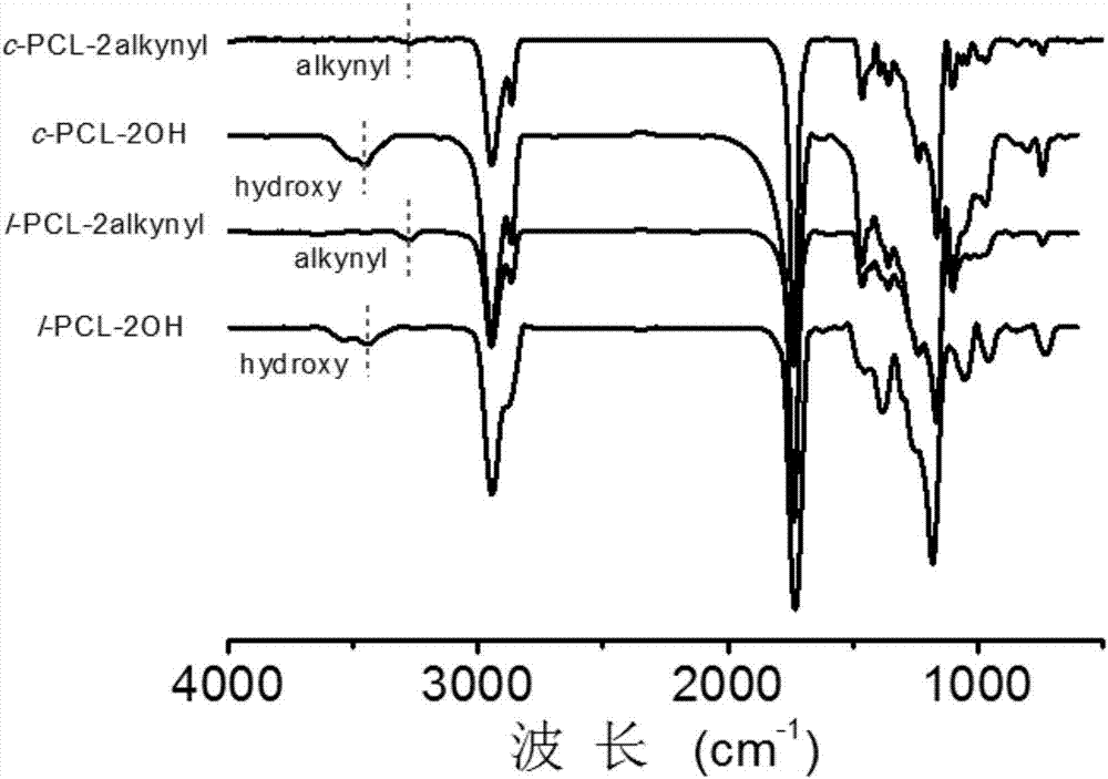 Cyclic polycaprolactone-polyethylene glycol amphipathic block copolymer and preparation and applications