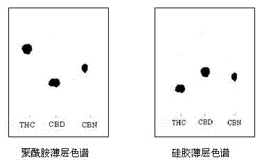 Method for half quantitatively and fast detecting contents of delta 9-THC (tetrahydrocannabinol) in cannabis plants