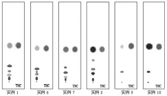 Method for half quantitatively and fast detecting contents of delta 9-THC (tetrahydrocannabinol) in cannabis plants