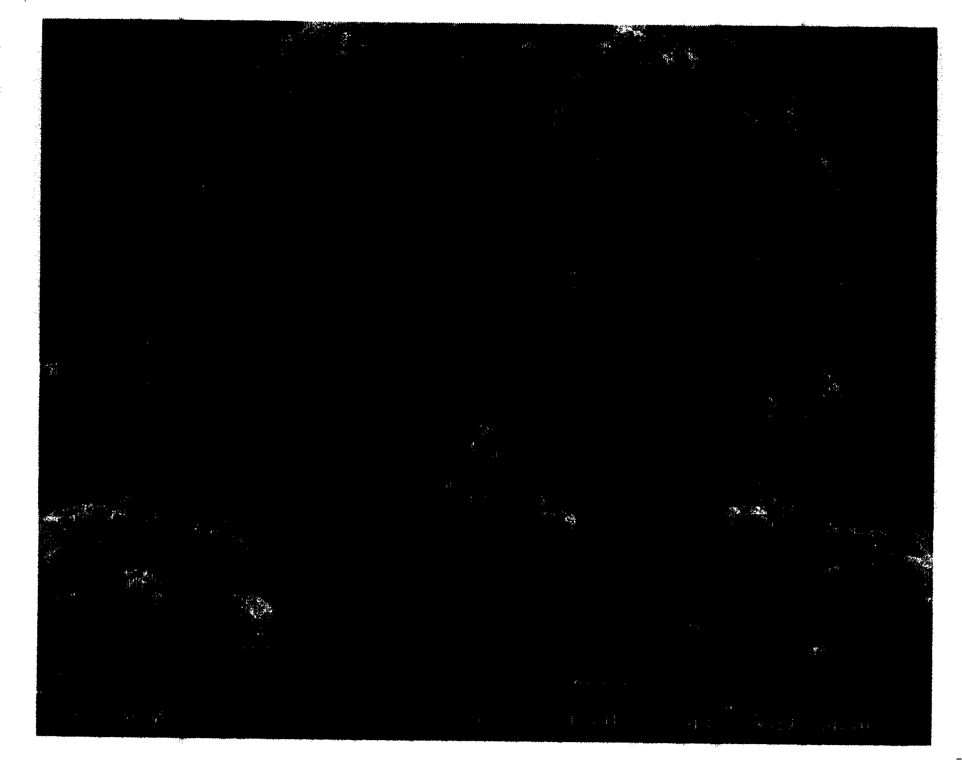 Functional latex as well as preparation method and uses thereof