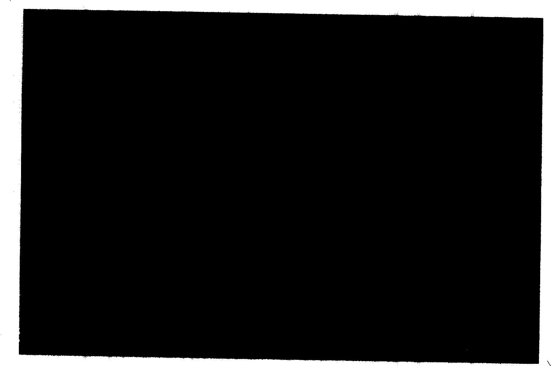 Functional latex as well as preparation method and uses thereof