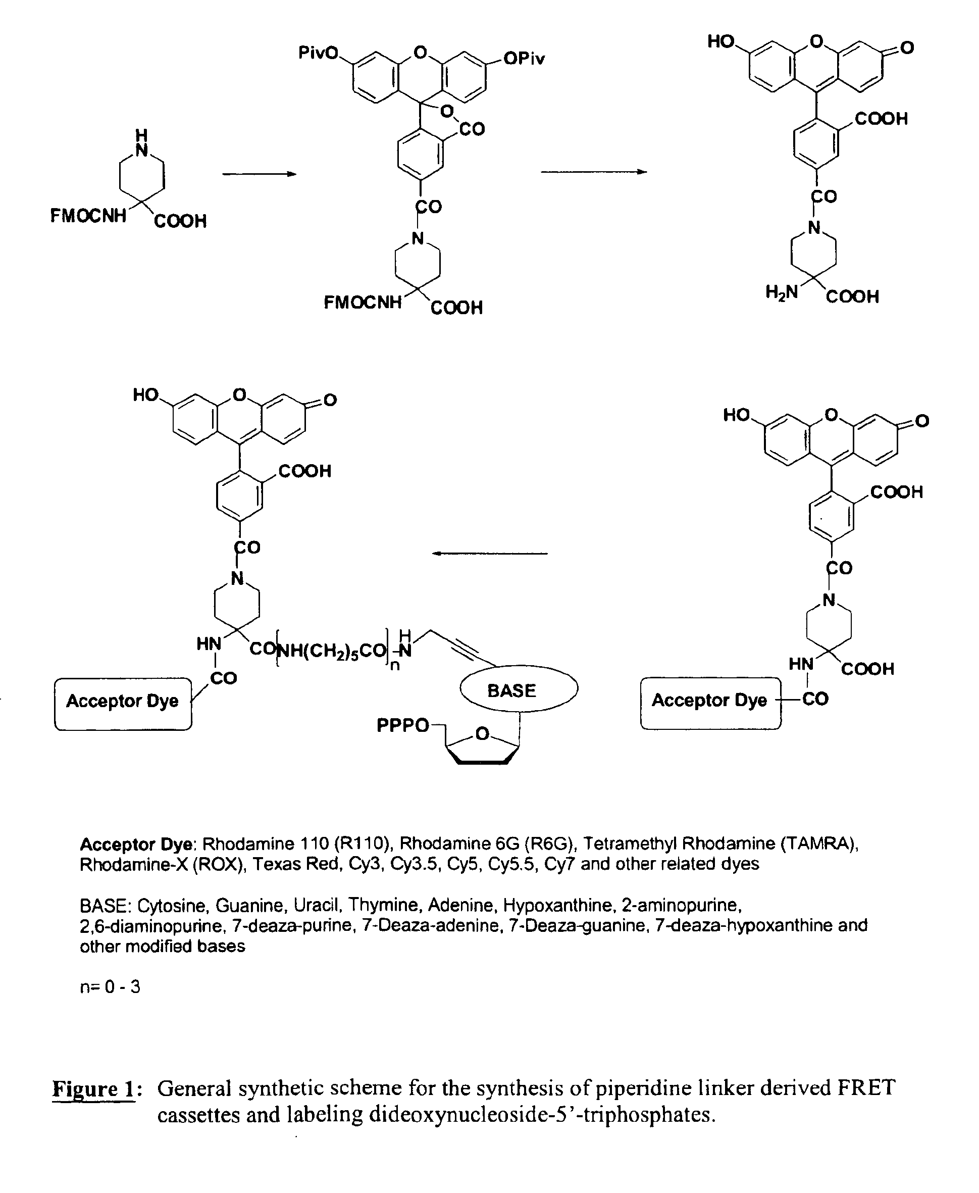 Heterocyclic FRETdye cassettes for labeling biological molecules and their use in DNA sequencing