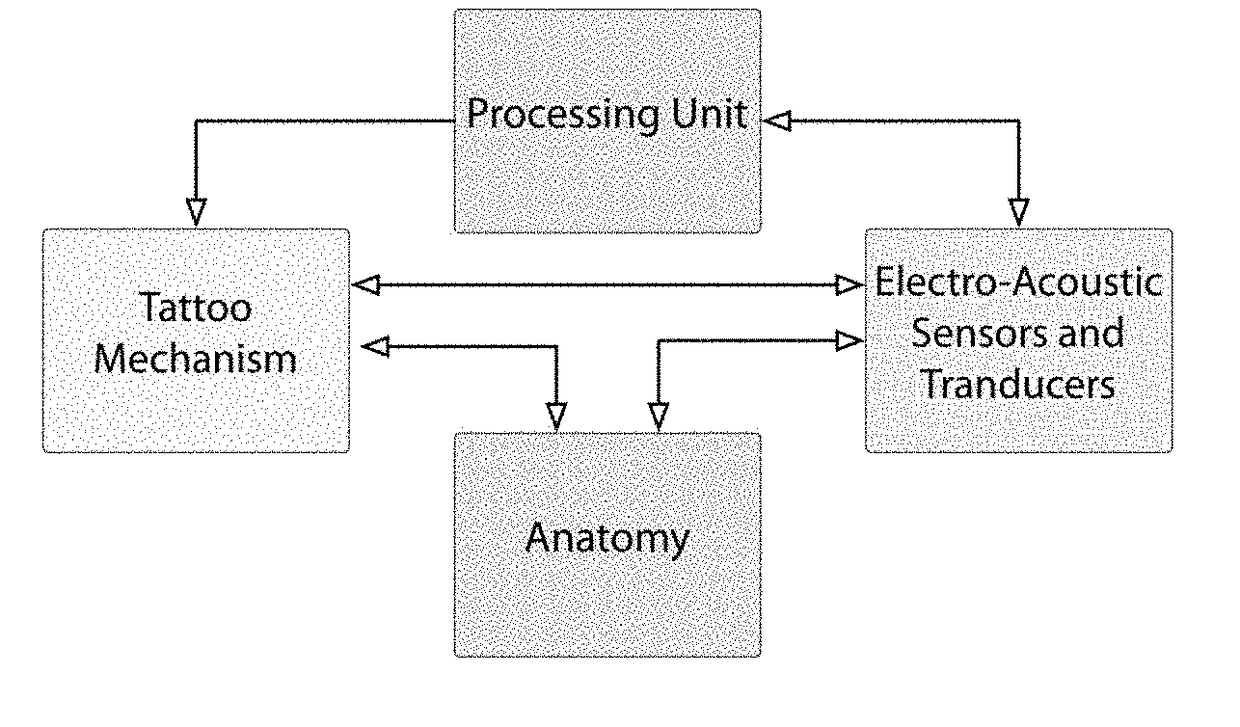 Automated measurement and control system for tattoo delivery