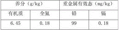 Tailing pond soil conditioner and application method thereof