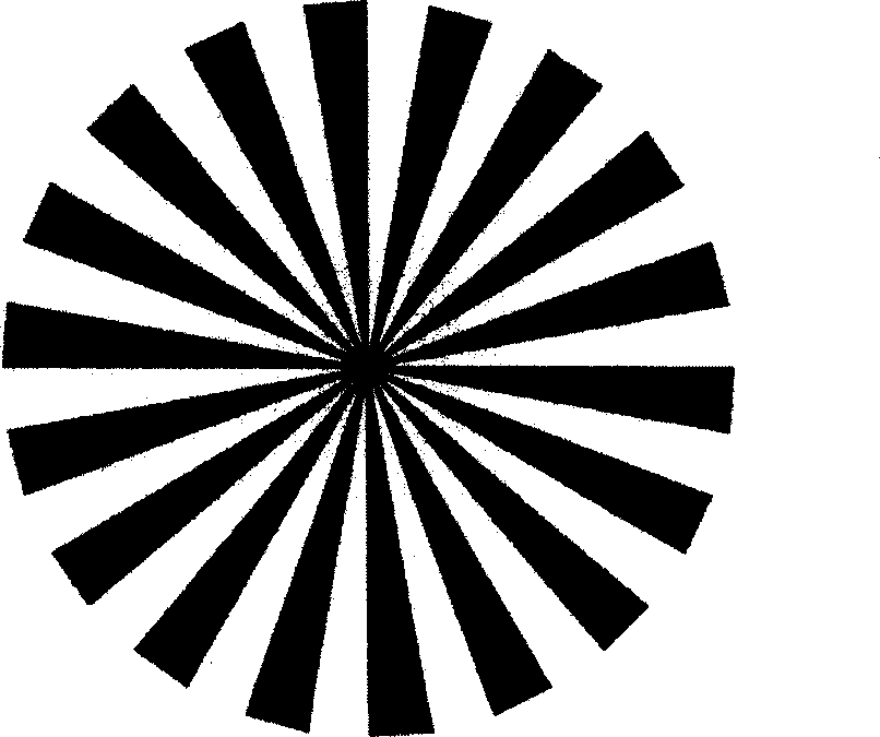 Anticounterfeit seal, and its manufacturing method and complete detecting film