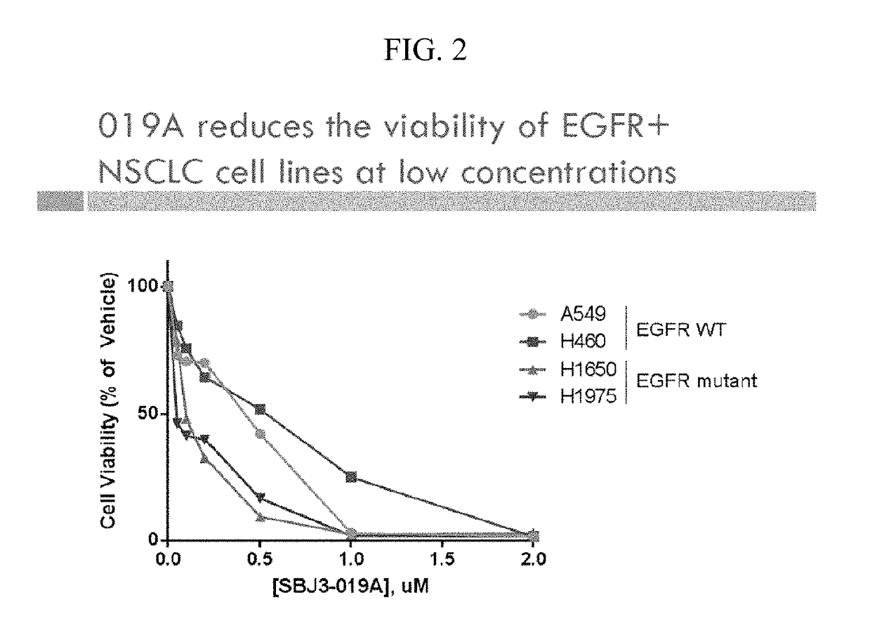 Compounds and methods for treating cancer