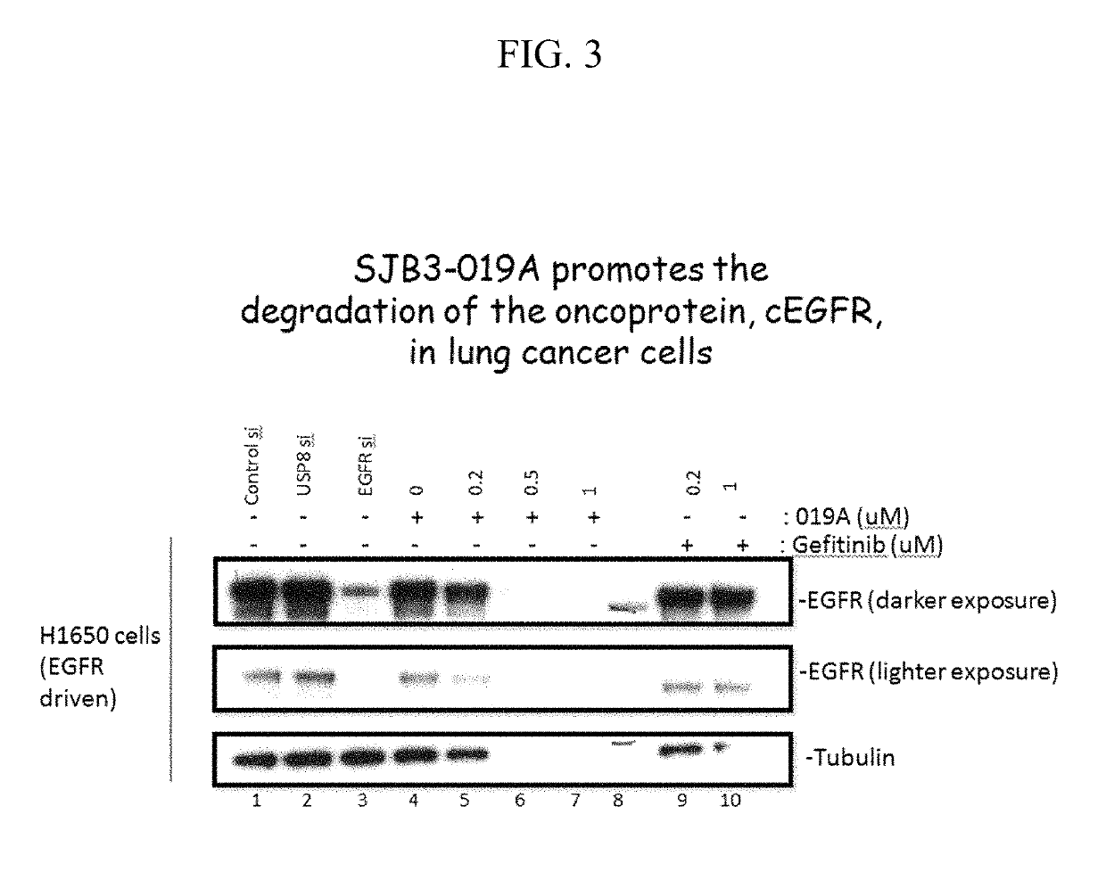 Compounds and methods for treating cancer