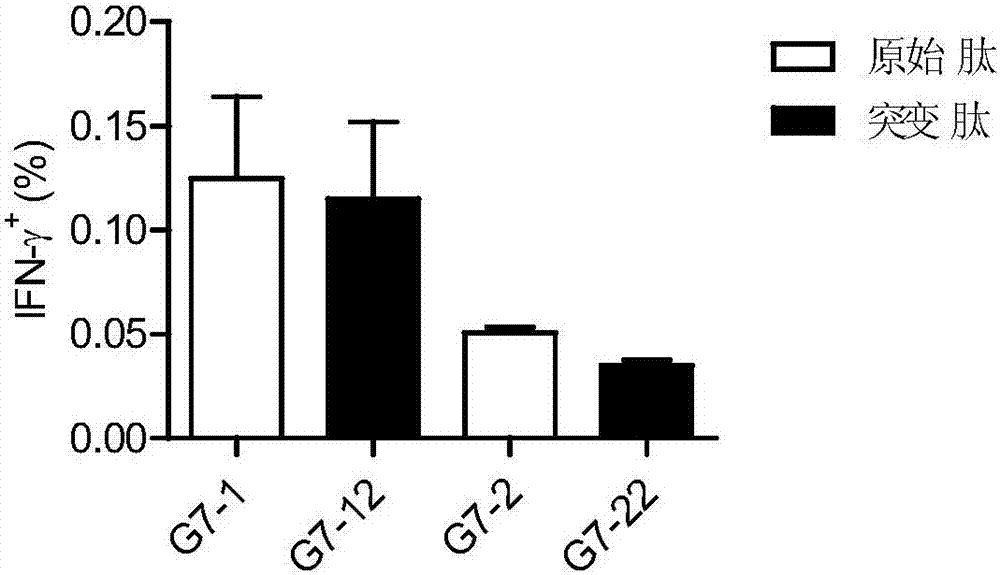 A GAS7 tumor antigen and applications thereof