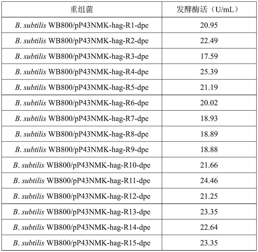 Strain for producing D-psicose 3-epimerase and application thereof