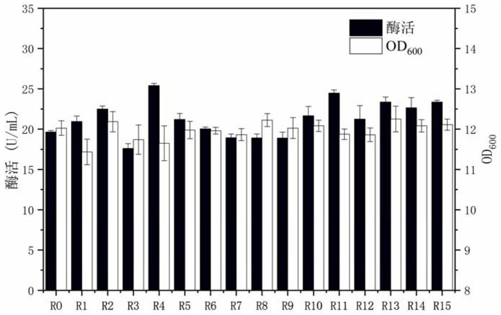 Strain for producing D-psicose 3-epimerase and application thereof