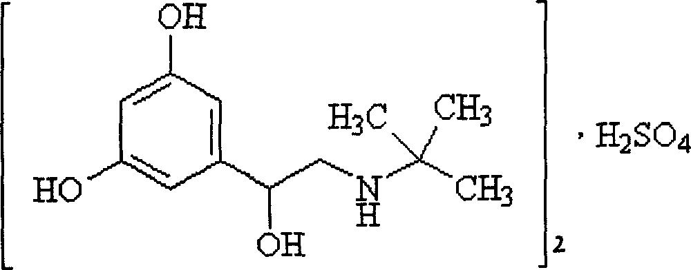 Terbutaline sulfate dropping pill and its preparing method