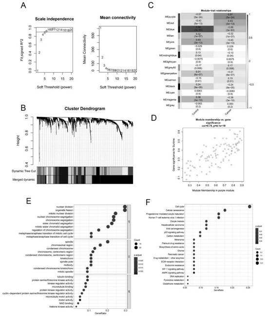 New application of PTX-3 in medical detection