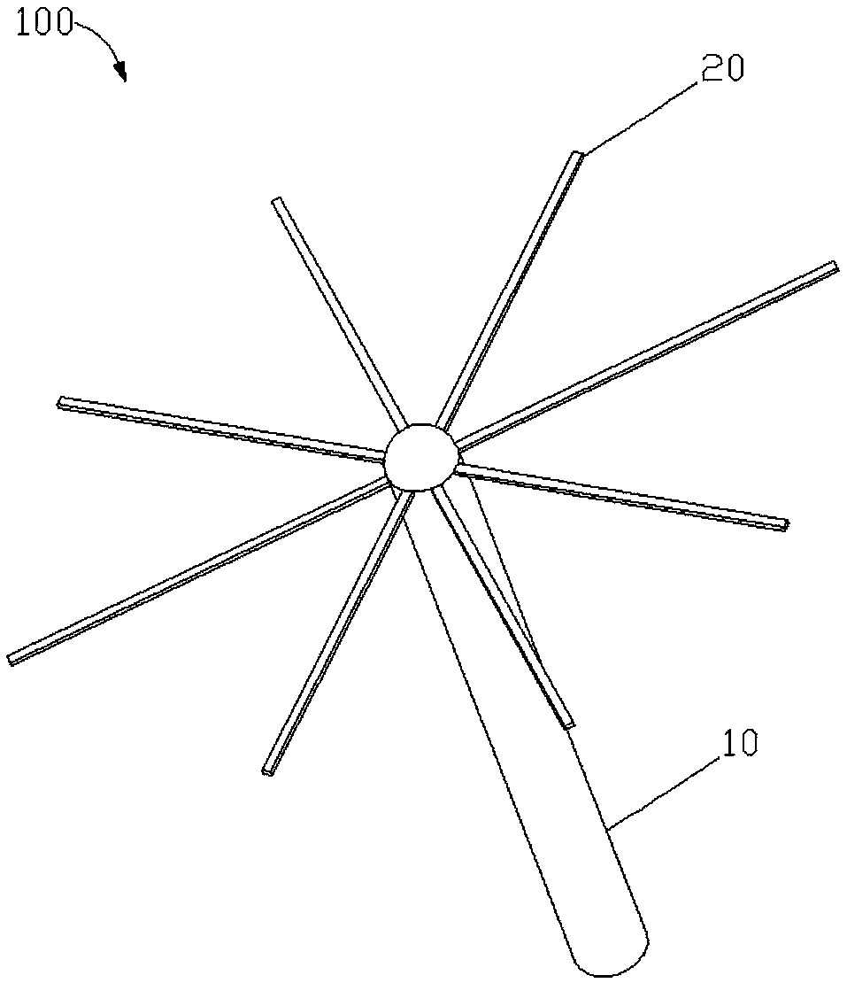 Method of raising Passiflora edulis seedlings