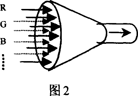 Full spectrum laser carrier light transmission method and use