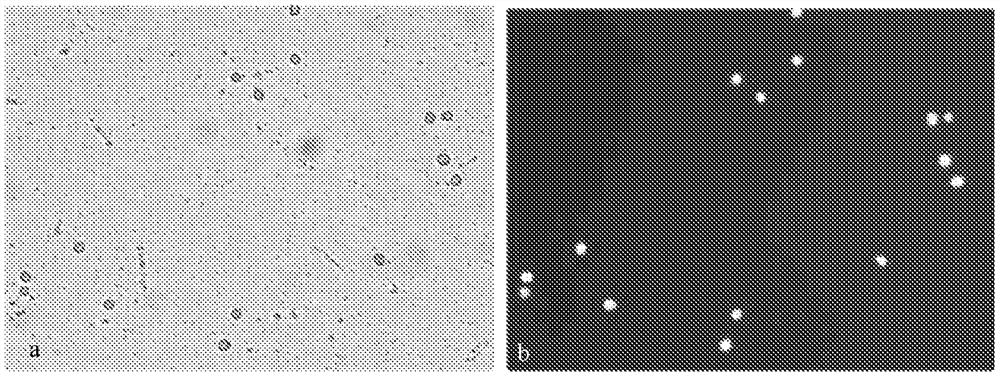 Preservation solution for peripheral blood samples of pregnant women and preservation method for peripheral blood samples of pregnant women