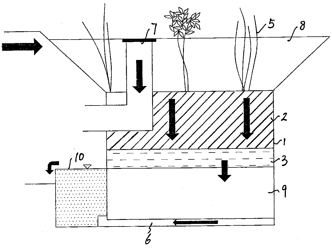 Bacteria filter for urban rainwater collecting