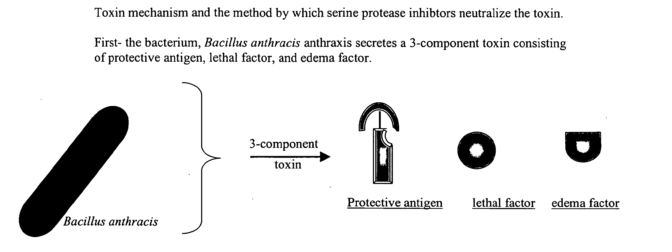 Compositions and methods for treating or ameliorating mycobacterial infections