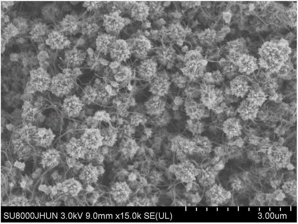 Preparation method for multi-walled carbon nanotube/titanium dioxide composite negative electrode material of lithium ion battery