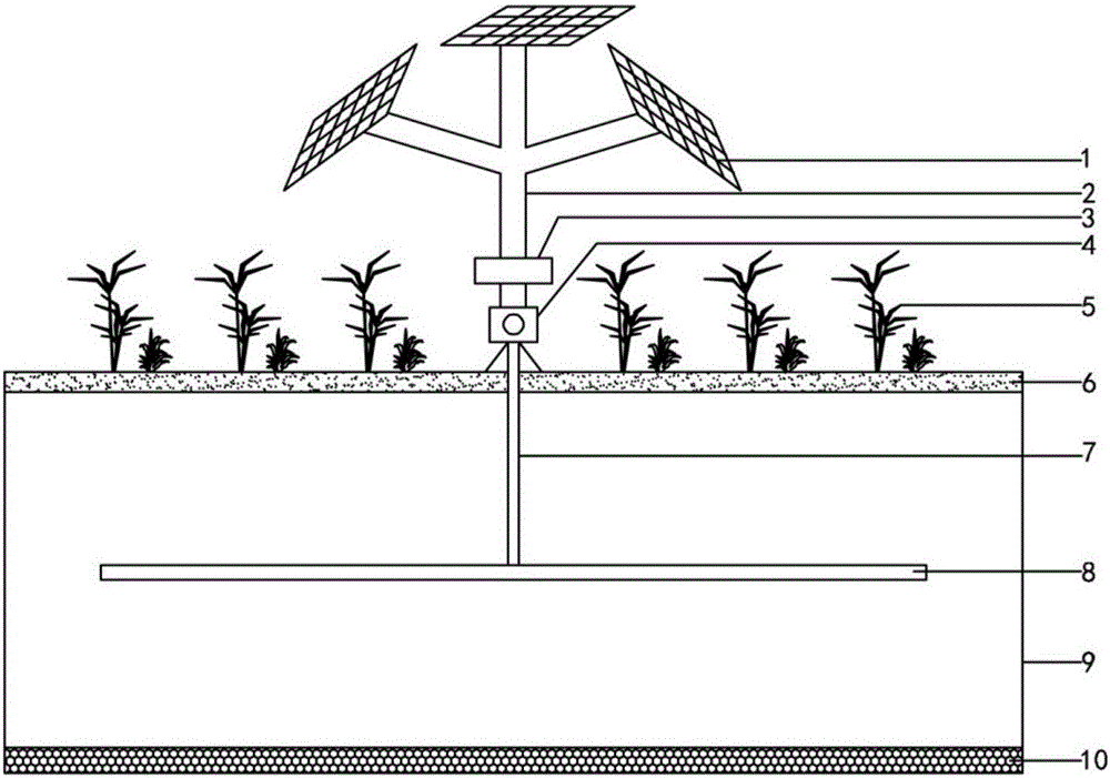 Plant ecological floating bed