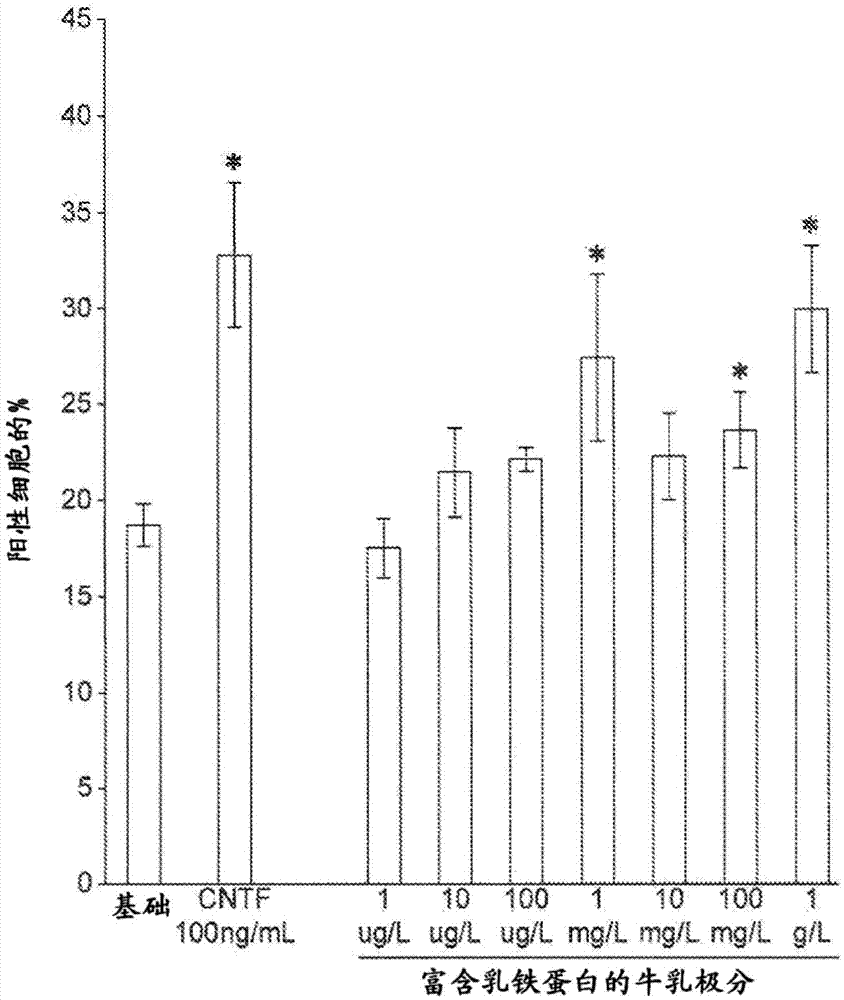 Lactoferrin and brain health and development in infants