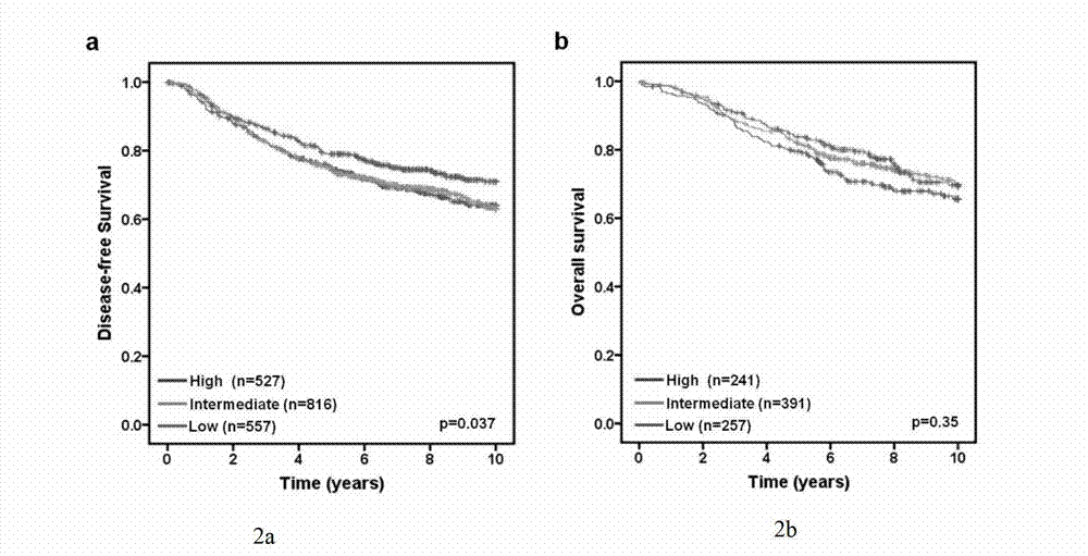 Application of cancer suppressor gene FBXW7 in preparation of drugs used for preventing or treating breast tumors, expression vector and diagnosis medicine