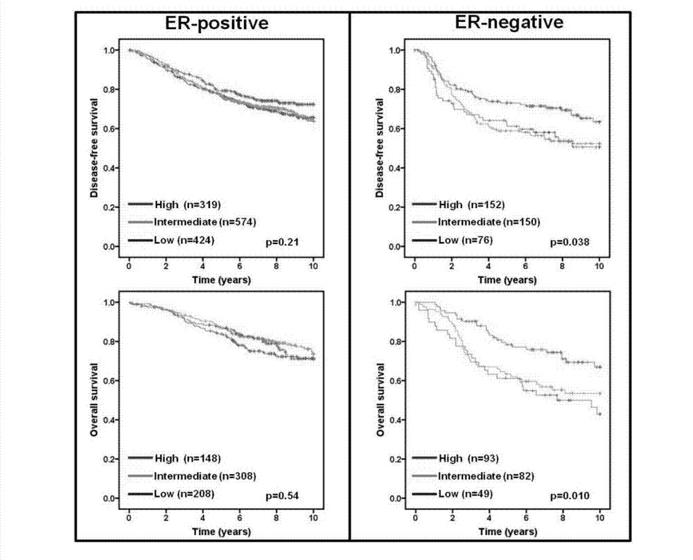 Application of cancer suppressor gene FBXW7 in preparation of drugs used for preventing or treating breast tumors, expression vector and diagnosis medicine