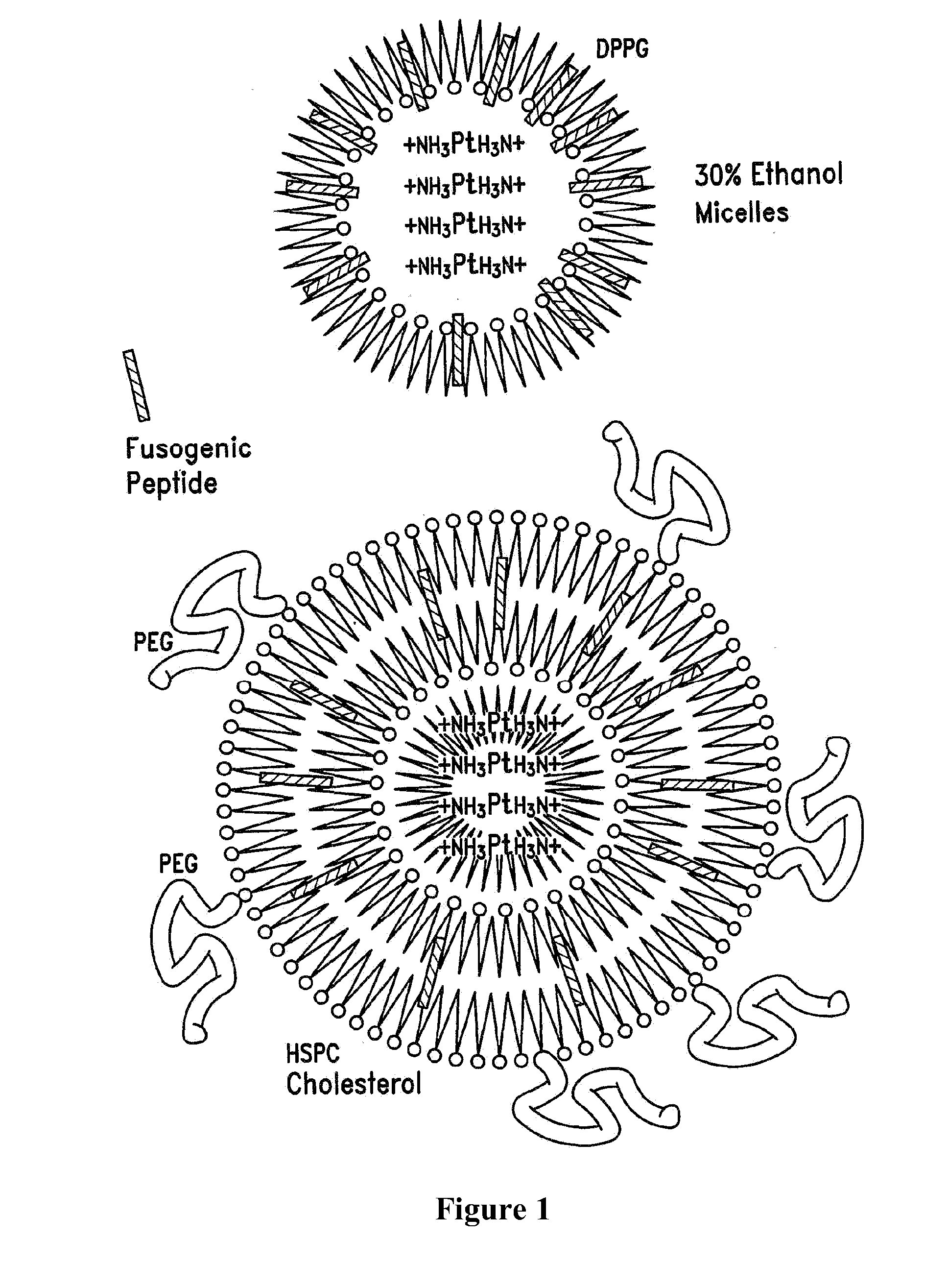 Therapy for human cancers using cisplatin and other drugs or genes encapsulated into liposomes