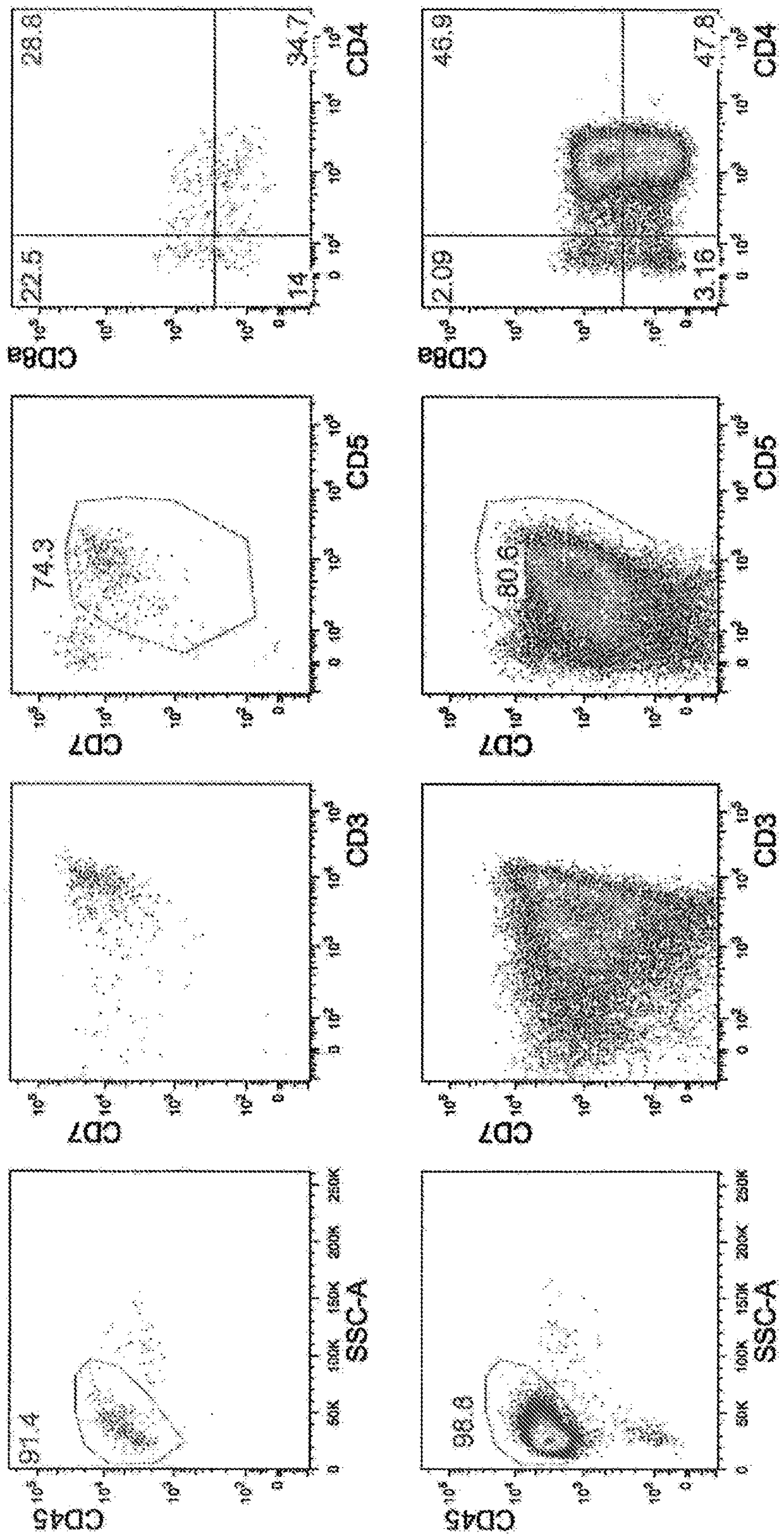 Method for producing cd4/cd8 double-positive t cells