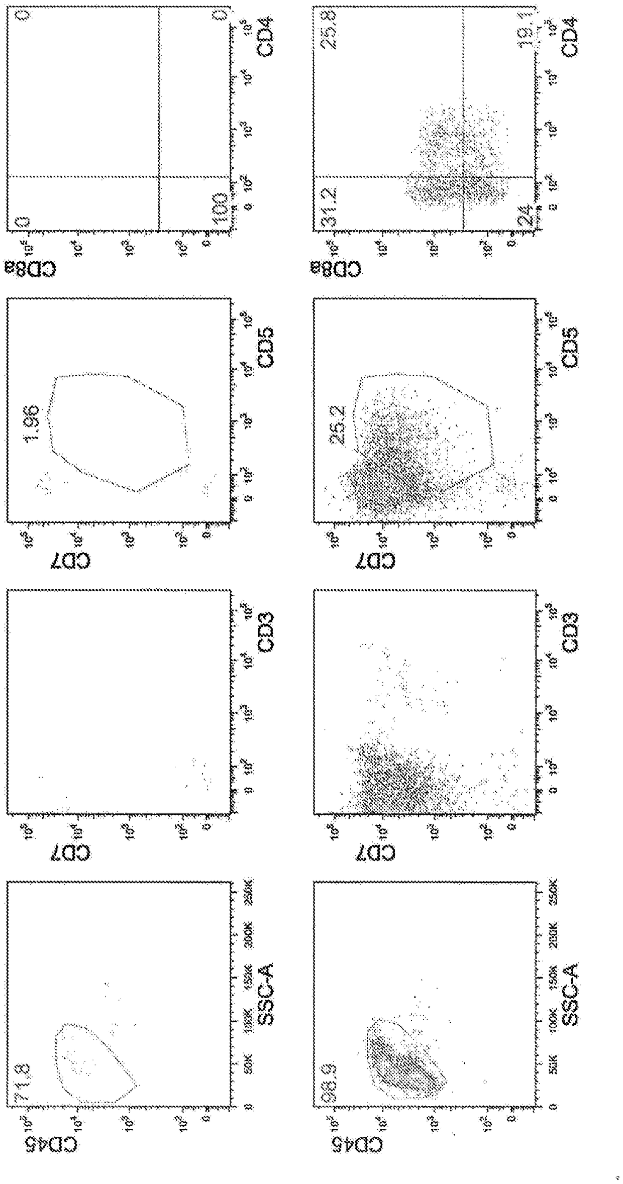 Method for producing cd4/cd8 double-positive t cells