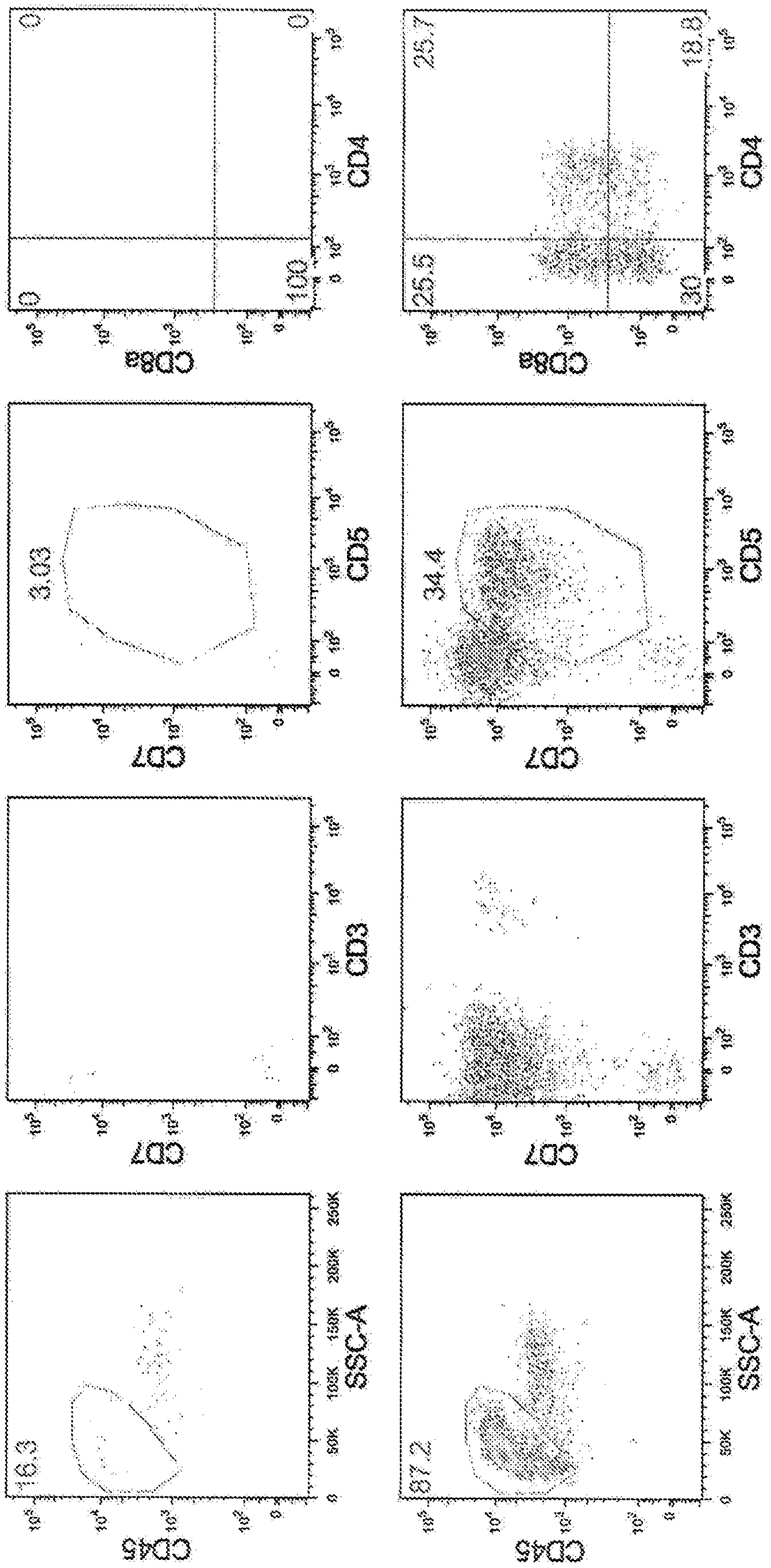 Method for producing cd4/cd8 double-positive t cells