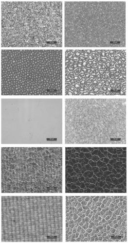 Amorphous alloy coloring method, amorphous alloy and application of amorphous alloy coloring method