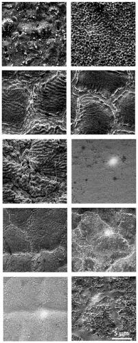 Amorphous alloy coloring method, amorphous alloy and application of amorphous alloy coloring method