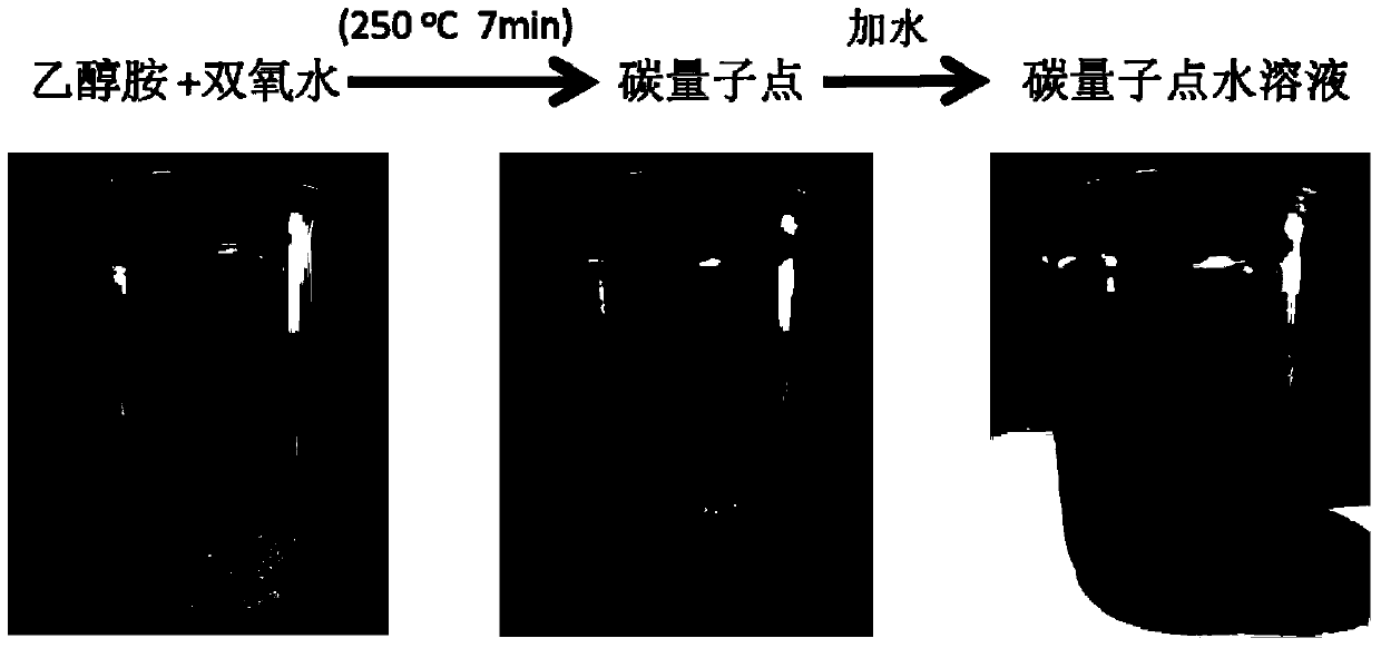 Simple and quick preparation method of nitrogen-doped carbon quantum dots