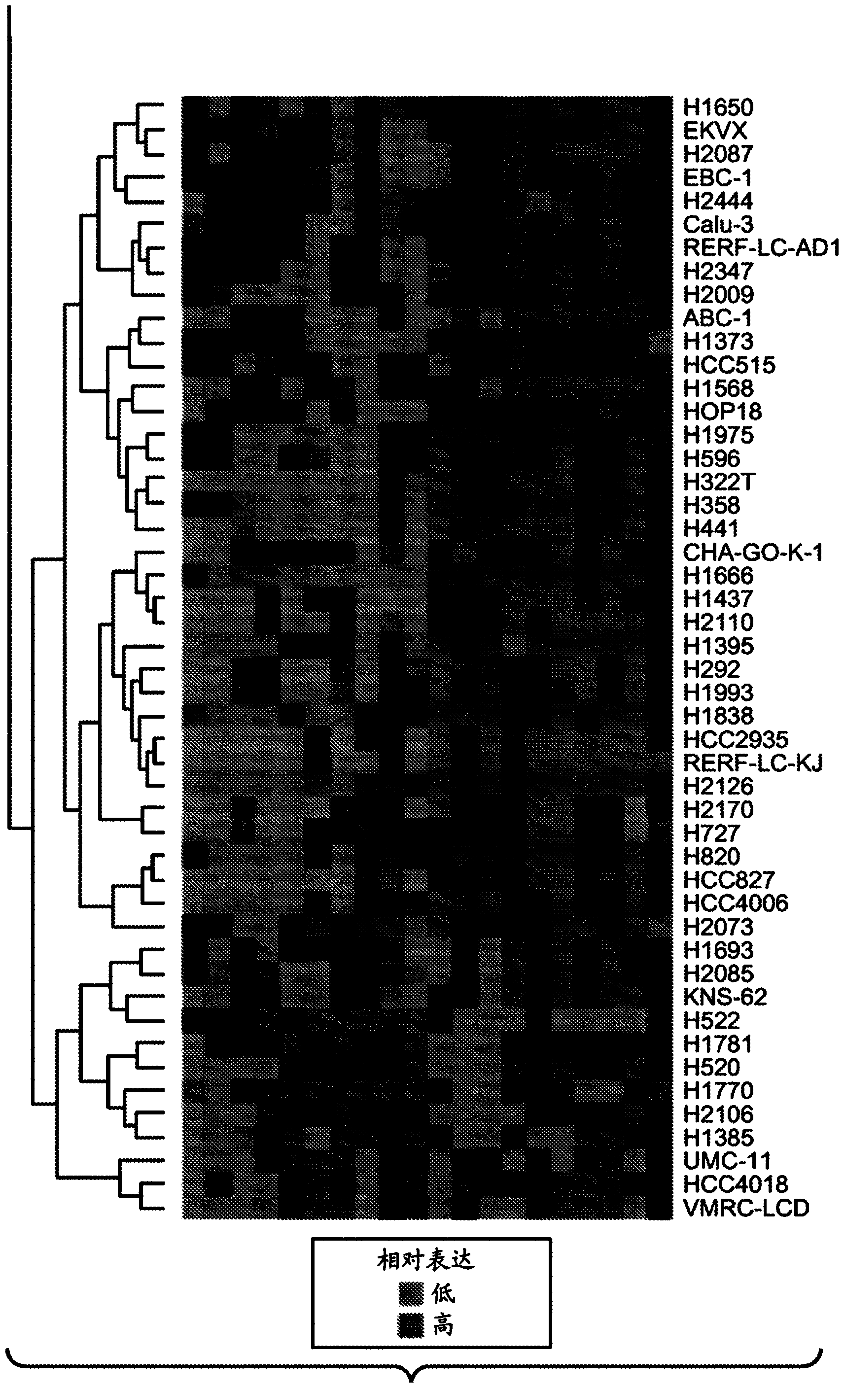 Diagnostic methylation markers of epithelial or mesenchymal phenotype and response to EGFR kinase inhibitor in tumours or tumour cells